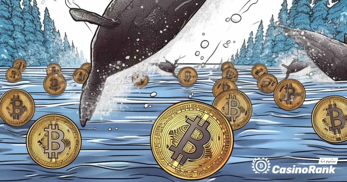 Движение китов на рынке криптовалют: переданы токены MATIC и SOL